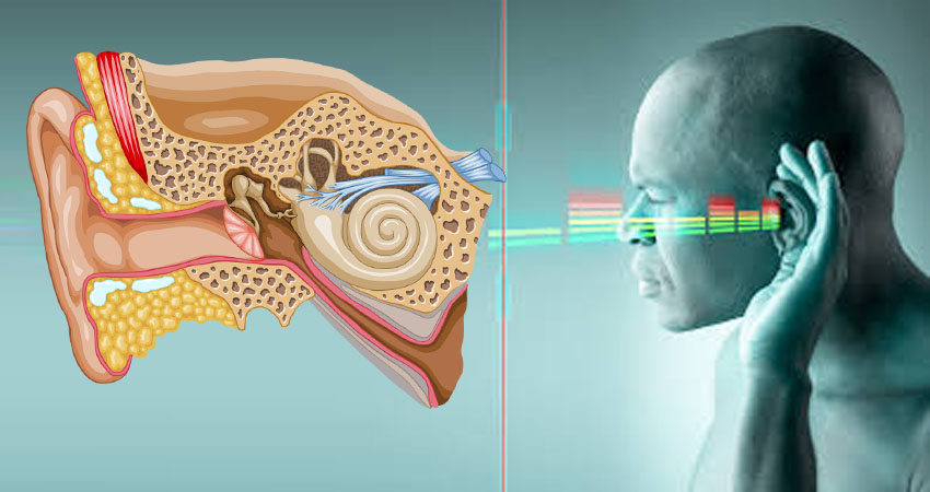 How Does Hearing Loss Occur