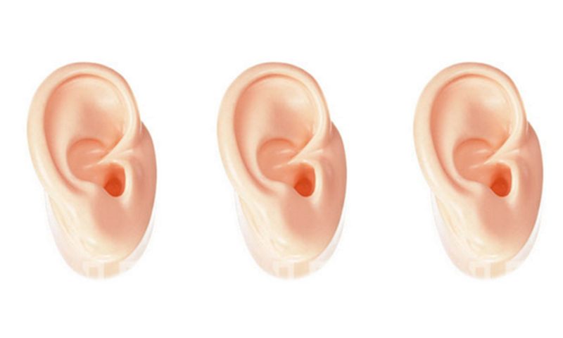 3-Piece Ear Display