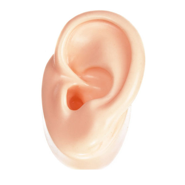 sillicone-ear-modules